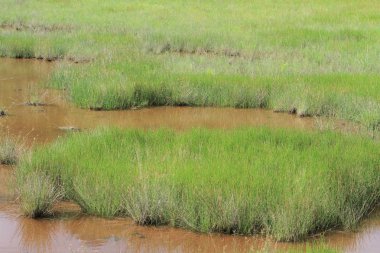 Maclehose iz sn 1, Sai Kung