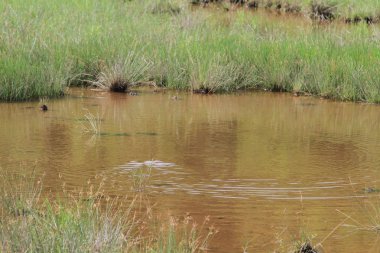 Maclehose iz sn 1, Sai Kung