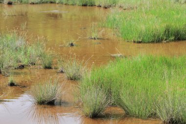 Maclehose iz sn 1, Sai Kung