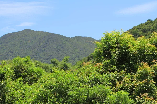 Sentier Maclehose Sec Sai Kung — Photo