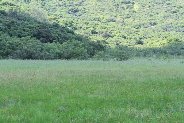 sai doğa manzaraya kung 2010