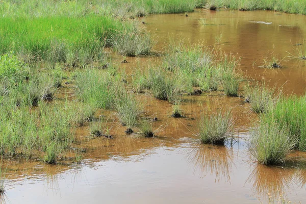 Maclehose iz sn 1, Sai Kung
