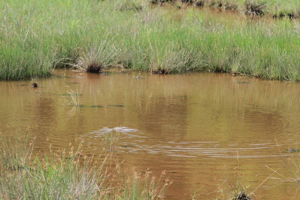 Maclehose iz sn 1, Sai Kung