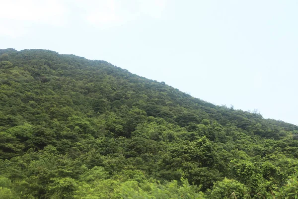 Příroda Lantau Jižní Country Park — Stock fotografie