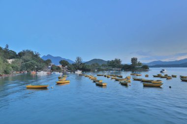 Tai Mei Tuk, Tai Po, yeni bölgeler