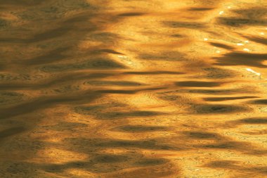 Lau çıtını Shan 2010 eski balık yeridir