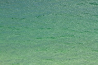 doğa viw sai, kung Country Park 2010