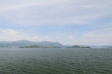 Hong Kong bilim ve teknoloji parkları 2010