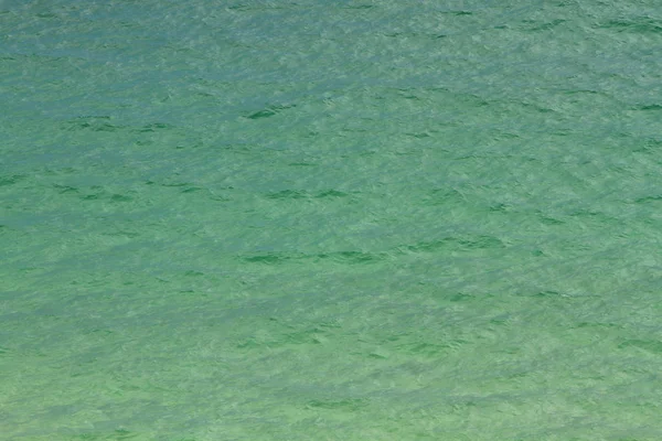 doğa viw sai, kung Country Park 2010