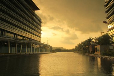 Hong Kong bilim ve teknoloji parkları 2010