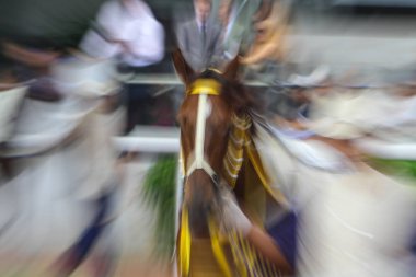 hk en prestijli yarışlarında birini