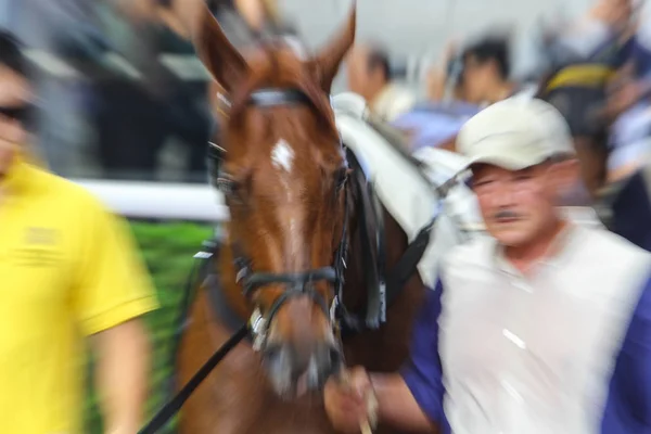 One Most Prestigious Races — Stock Photo, Image