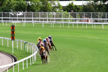 hk en prestijli yarışlarında birini