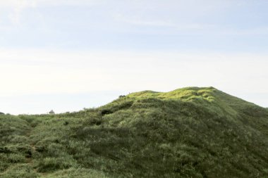 bağlantı noktası barınak, sai kung, hong kong