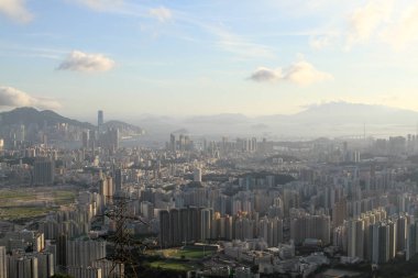 Dikey yaşam, Kowloon yerleşik yapı