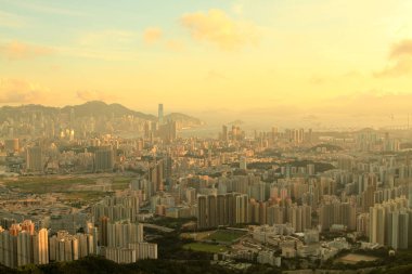 Dikey yaşam, Kowloon yerleşik yapı