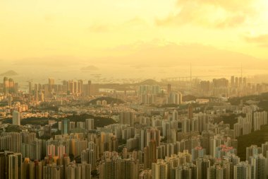 Dikey yaşam, Kowloon yerleşik yapı