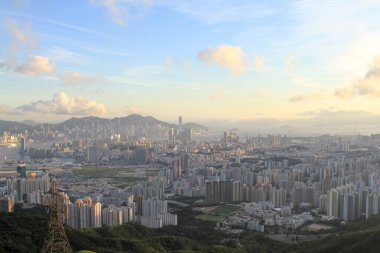 Dikey yaşam, Kowloon yerleşik yapı