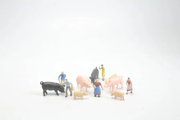 Agricultor Com Animais Fazenda Porco Cavalo — Fotografia de Stock