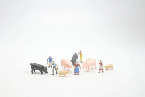 Farmer With Farm Animals: Horse Pig