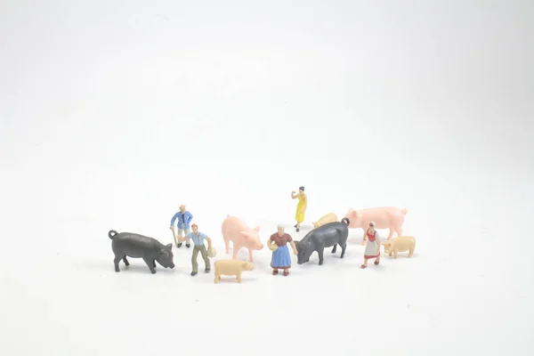 Agricultor Com Animais Fazenda Porco Cavalo — Fotografia de Stock
