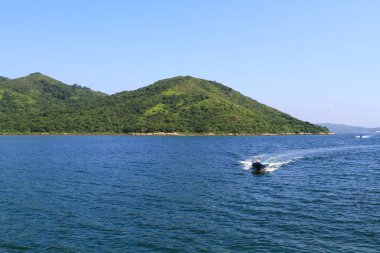hong kong adasında çim doğası