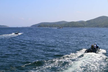 hong kong adasında çim doğası