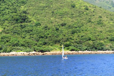 hong kong adasında çim doğası