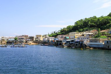 hong kong adasında çim doğası