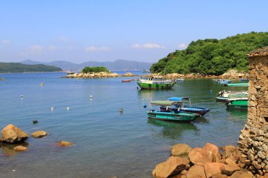 hong kong adasında çim doğası