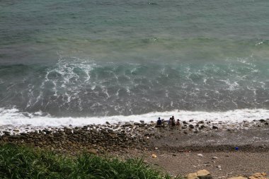 hong kong adasında çim doğası