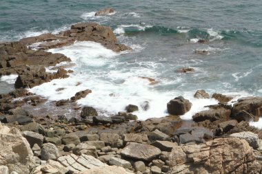 hong kong adasında çim doğası