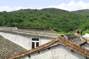 hong kong adasında çim doğası