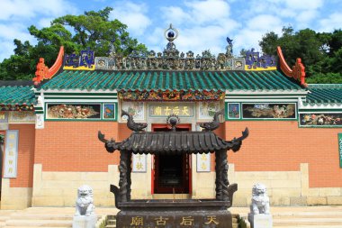 hong kong adasında çim doğası