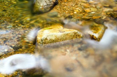 bir rezervuar ve orman Şing Mun rezervuar 