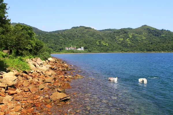 香港で草島の自然 — ストック写真