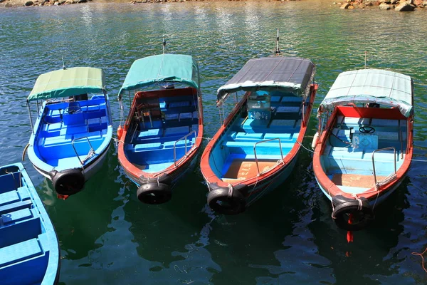 Naturaleza Isla Hierba Hong Kong — Foto de Stock