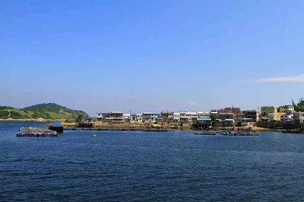 香港で草島の自然 — ストック写真