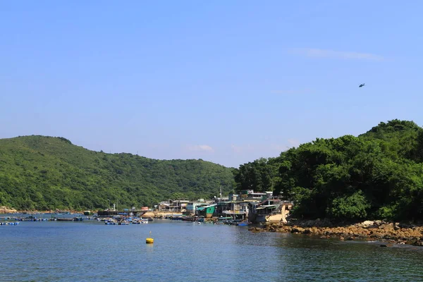 Naturaleza Isla Hierba Hong Kong — Foto de Stock