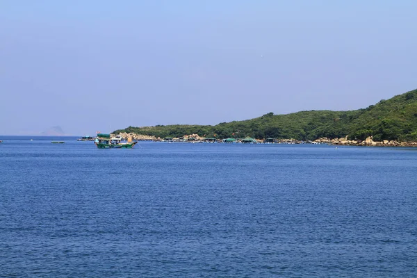 Naturaleza Isla Hierba Hong Kong —  Fotos de Stock