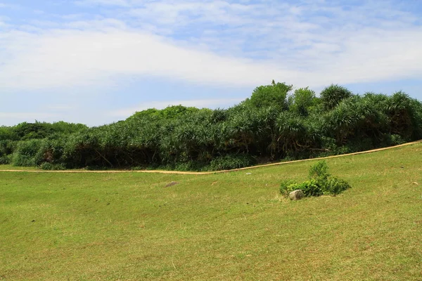 Naturaleza Isla Hierba Hong Kong — Foto de Stock