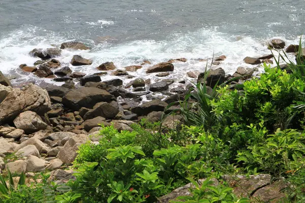 Naturaleza Isla Hierba Hong Kong — Foto de Stock