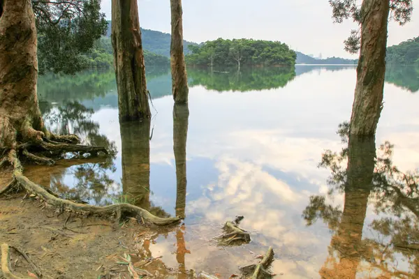 Reservatório Floresta Reservatório Shing Mun — Fotografia de Stock