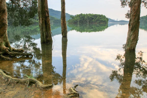 Reservatório Floresta Reservatório Shing Mun — Fotografia de Stock