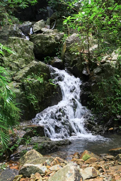 Водохранилище Лес Водохранилище Син Мун — стоковое фото