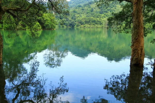 Réservoir Forêt Réservoir Shing Mun — Photo