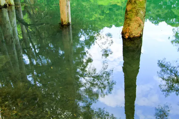 Serbatoio Foresta Shing Mun Reservoir — Foto Stock