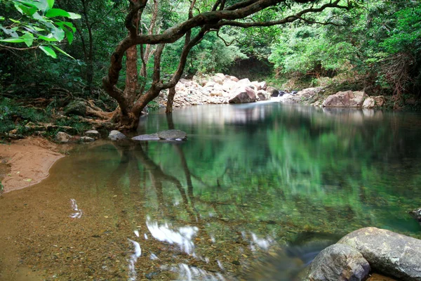 Reservoir Forest Shing Mun Reservoir — Stock Photo, Image