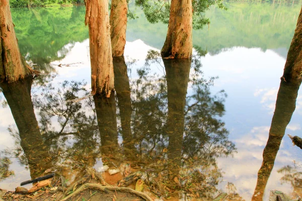 Serbatoio Foresta Shing Mun Reservoir — Foto Stock