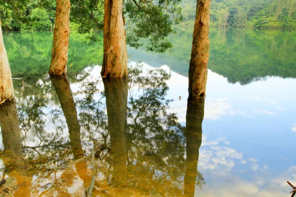 Stausee Und Wald Mun Stausee — Stockfoto